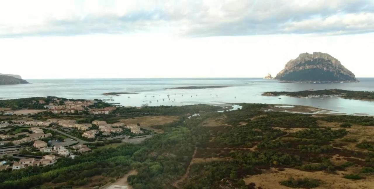 Villa Raffaello Porto San Paolo  Bagian luar foto