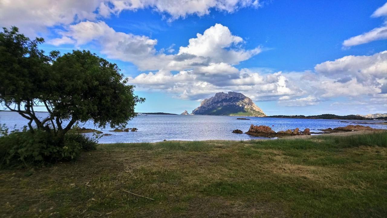 Villa Raffaello Porto San Paolo  Bagian luar foto